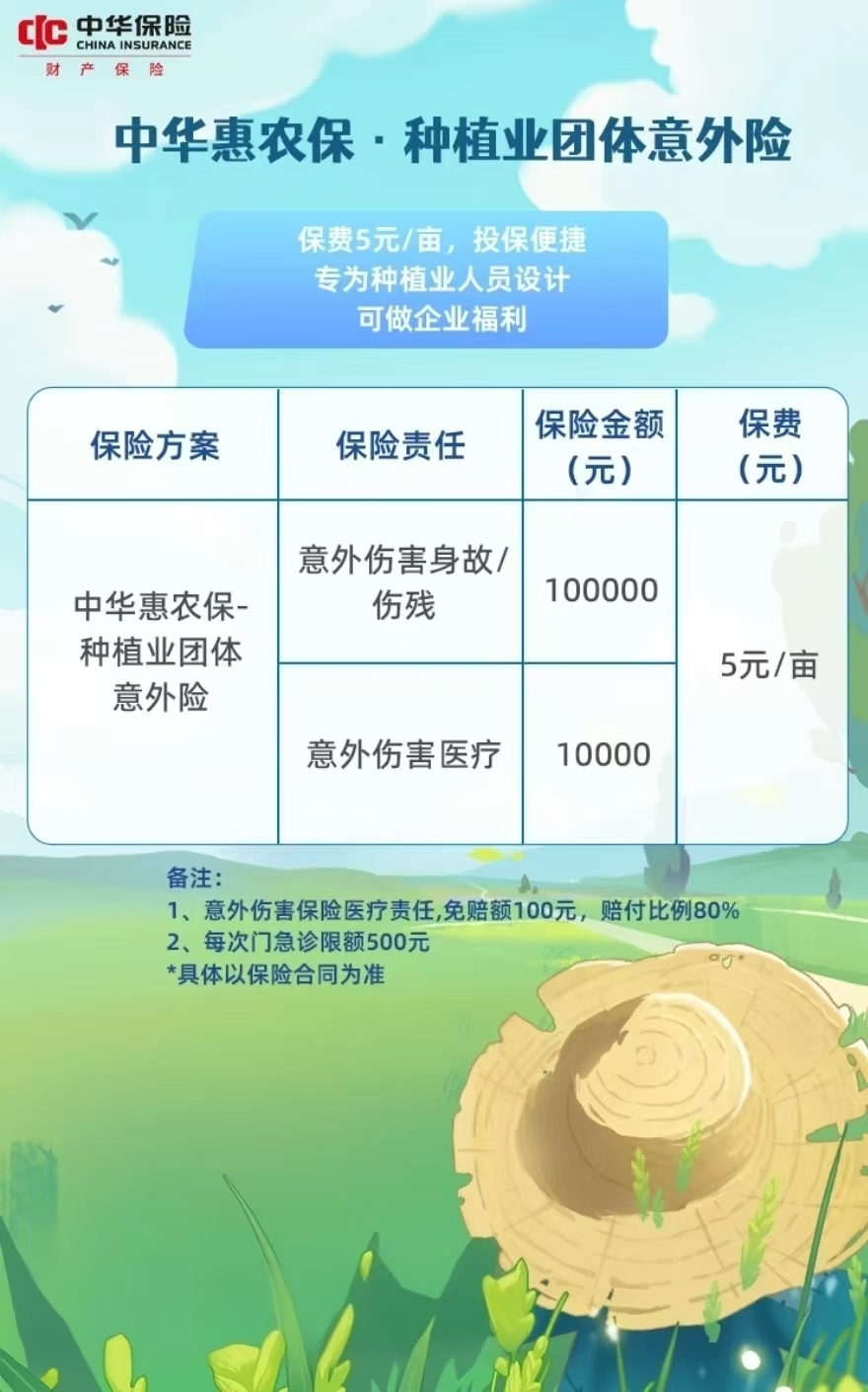 中华惠农保-种植业团体意外险——中华联合财险阜阳中心支公司